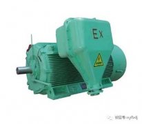 高壓防爆電機(jī)常見故障分析