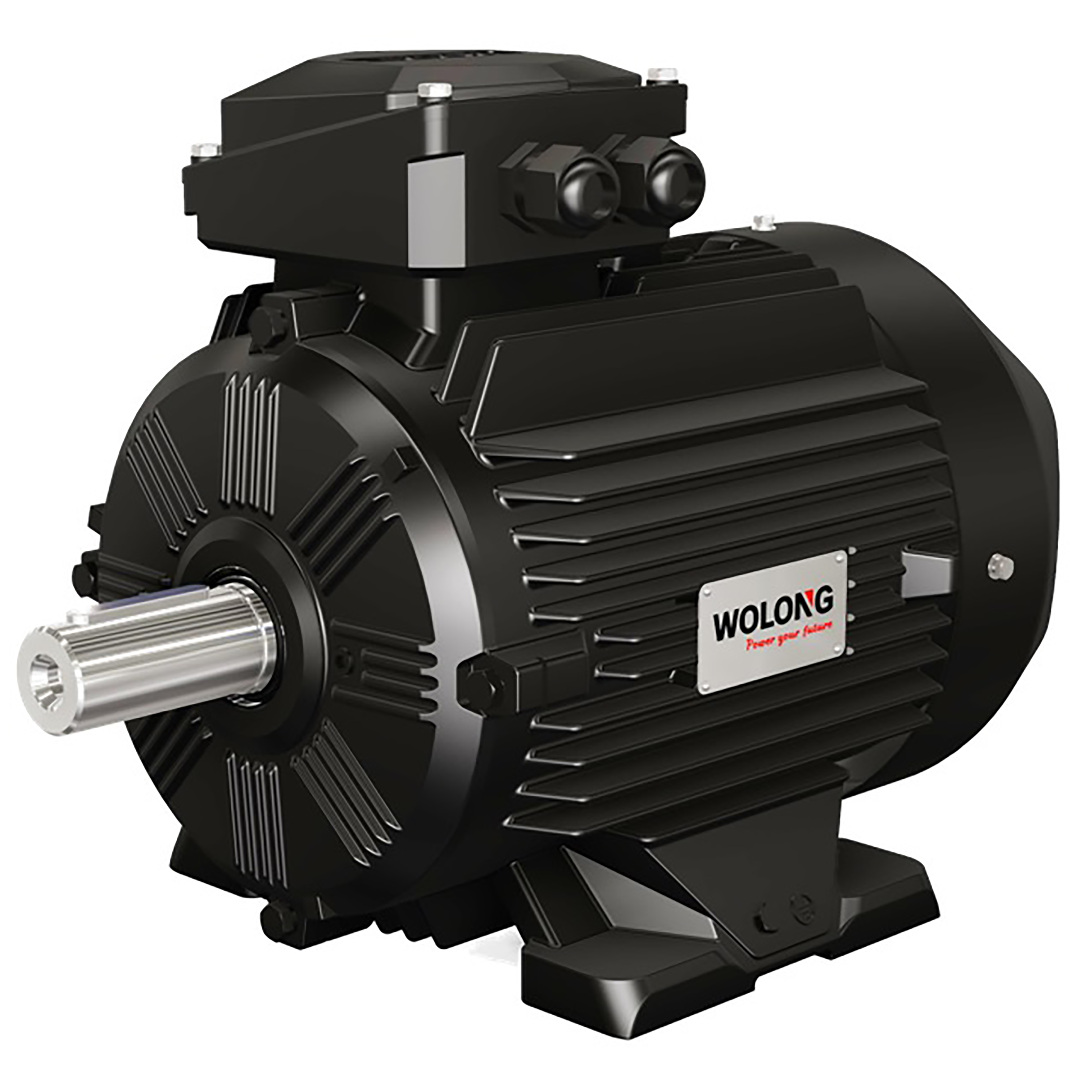 WEPM系列變頻調(diào)速永磁同步電動(dòng)機(jī)