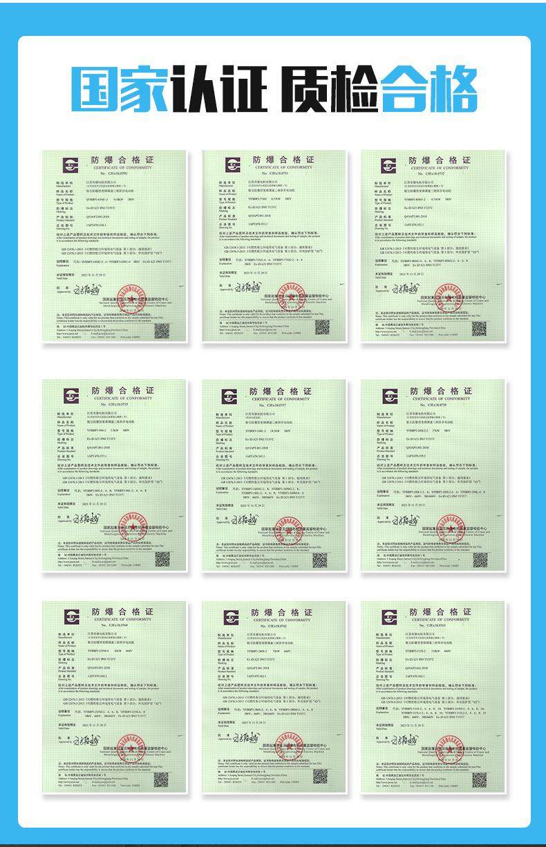 YFB4粉塵防爆三相異步電動機(jī)(圖4)