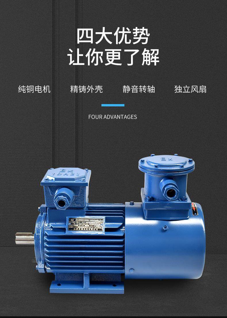 YFB4粉塵防爆三相異步電動機(jī)(圖5)