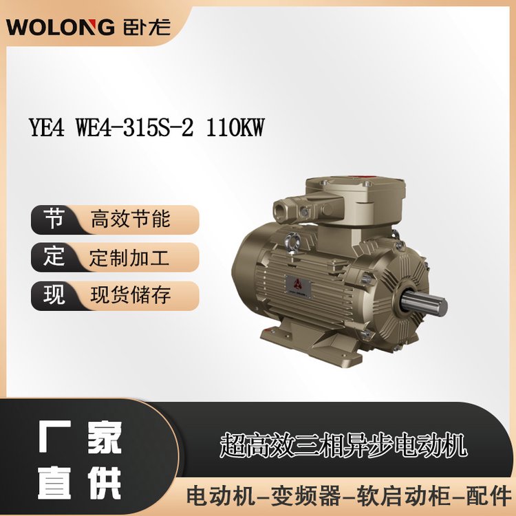 YE4 WE4-315S-2 110KW 變頻調(diào)速一體機低振動三相異步(圖1)