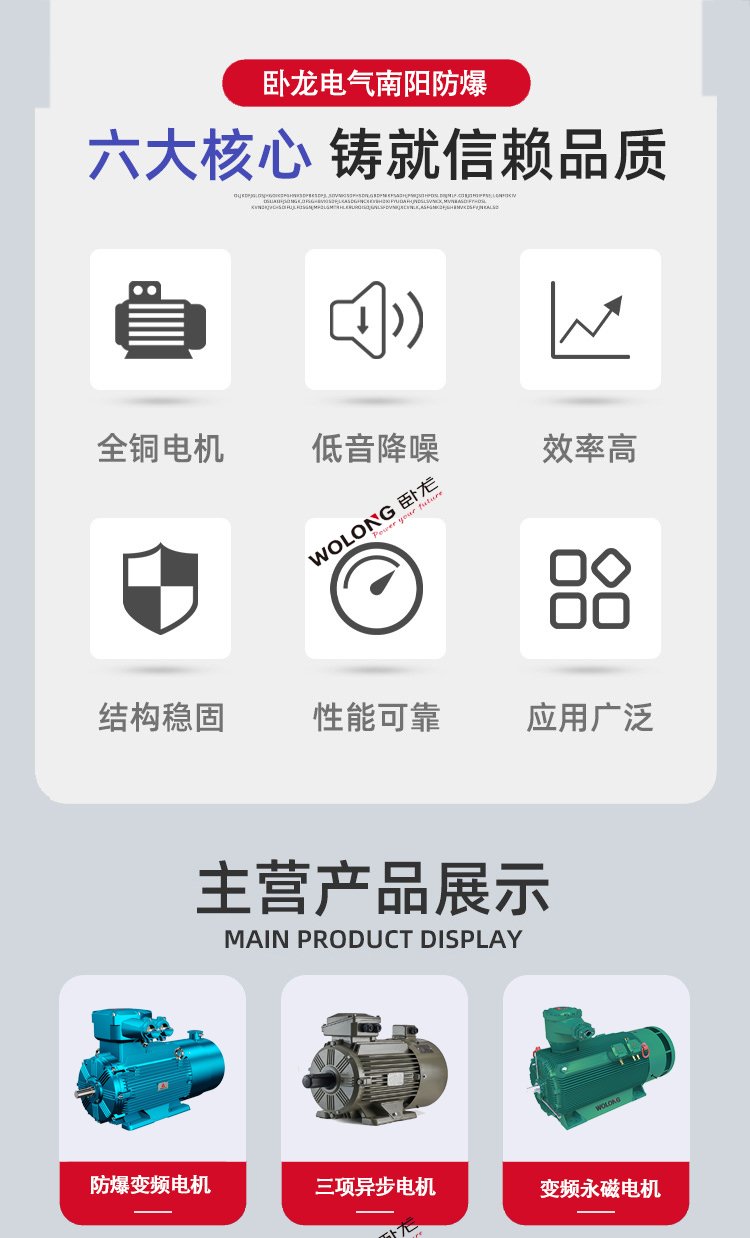 YE4 WE4-315S-2 110KW 變頻調(diào)速一體機低振動三相異步(圖2)