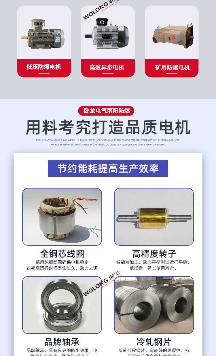 YE4 WE4-315S-2 110KW 變頻調(diào)速一體機低振動三相異步(圖3)