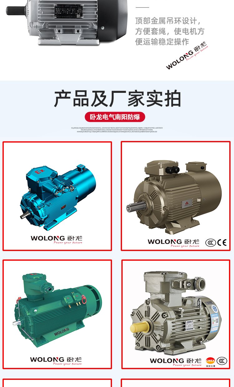 YE4 WE4-315S-2 110KW 變頻調(diào)速一體機低振動三相異步(圖6)