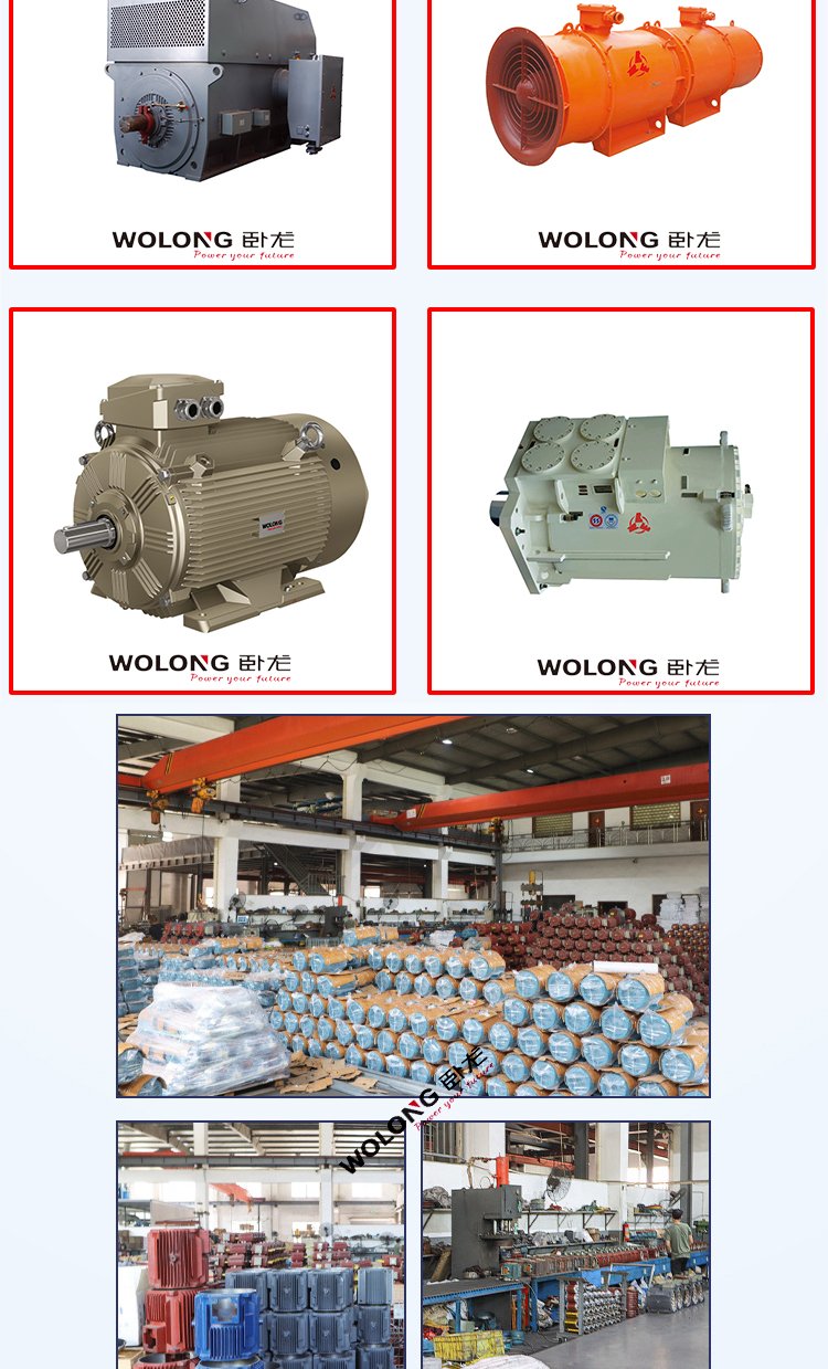 YE4 WE4-315S-2 110KW 變頻調(diào)速一體機低振動三相異步(圖8)