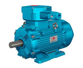 YFBBP3粉塵防爆變頻三相異步電動機(jī)全銅線隔爆