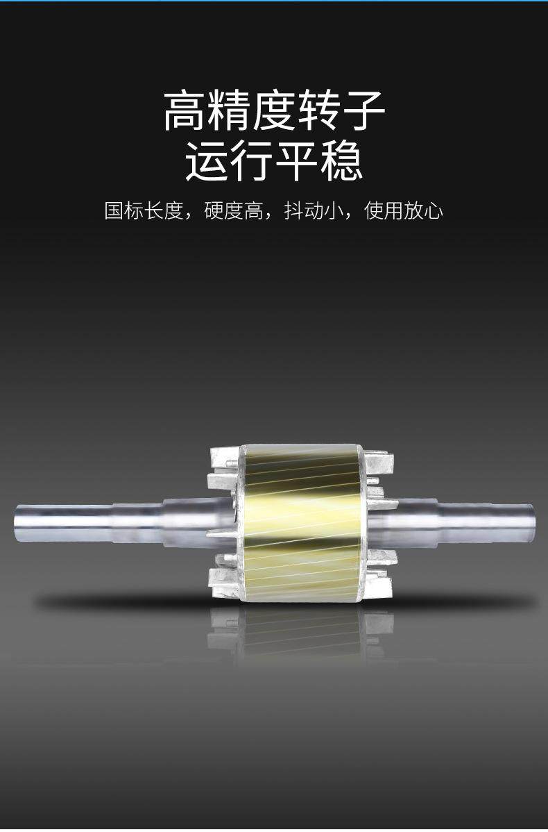 YFBBP3粉塵防爆變頻三相異步電動機(jī)全銅線隔爆(圖8)