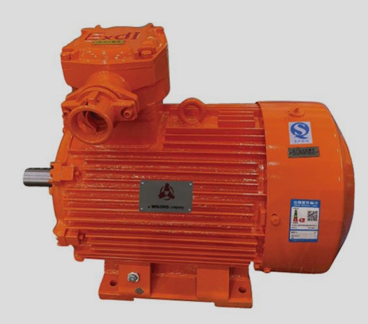 防爆電機(jī)常見問題：防爆等級的選擇與誤區(qū)