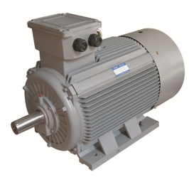 高壓防爆電機(jī)常見問題：軸承故障及其解決方案