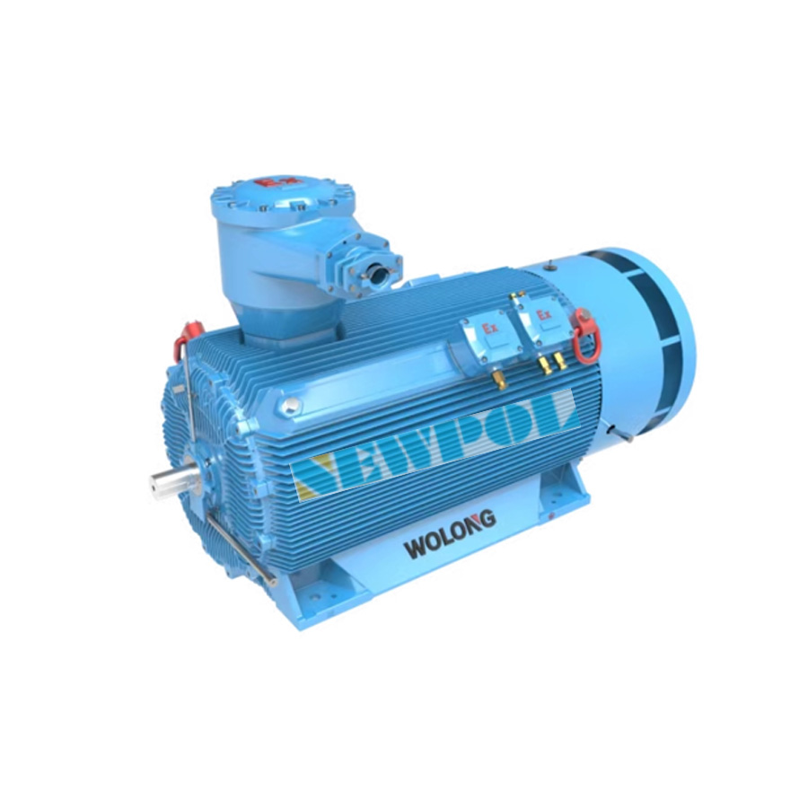 防爆電機(jī)常見問題解析：防爆等級的重要性及選擇