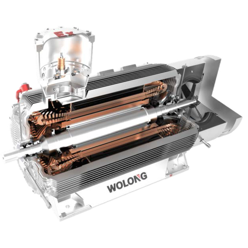 高壓非防爆異步電機(jī)的常見(jiàn)問(wèn)題:高壓非防爆異步電機(jī)過(guò)熱的原因及解決方案(圖1) 1718931273855652.jpg