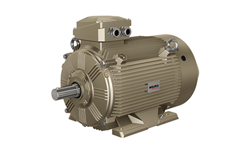 臥龍低壓永磁電機(jī)