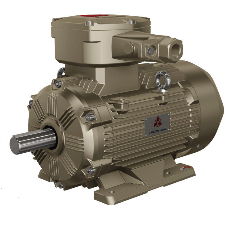 臥龍·南陽防爆電機(jī)永磁同步電機(jī)