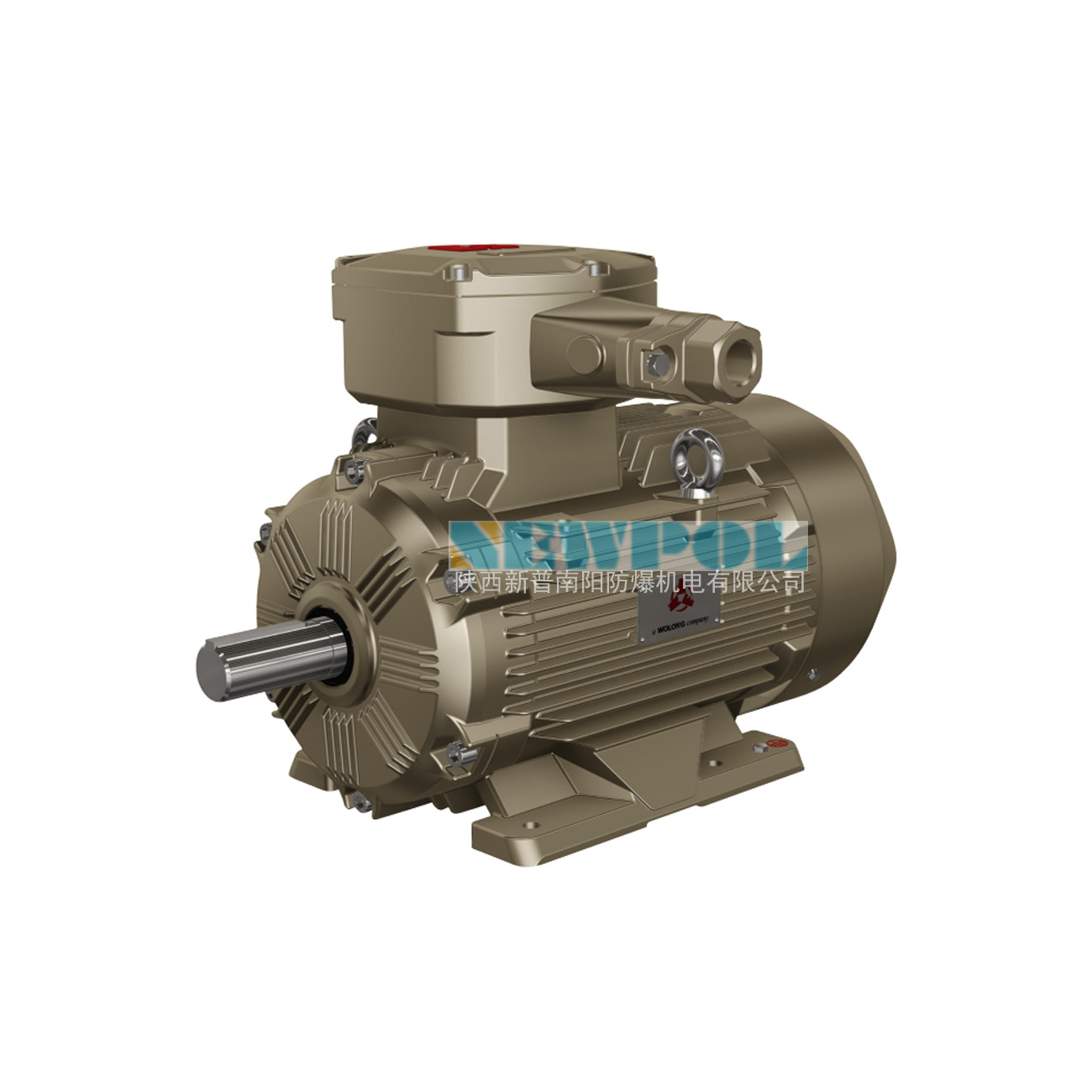 YBX3系列高效率隔爆型電機(jī)(圖1)