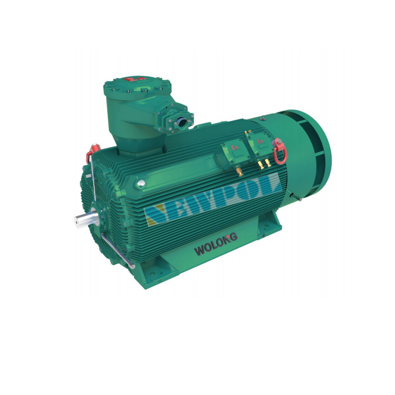 TBYBP系列高壓隔爆變頻永磁三相同步電機(jī)355-560(圖1)