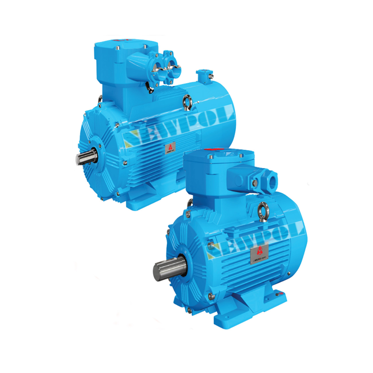 YBBP系列隔爆型變頻調(diào)速電機(jī)(圖1)