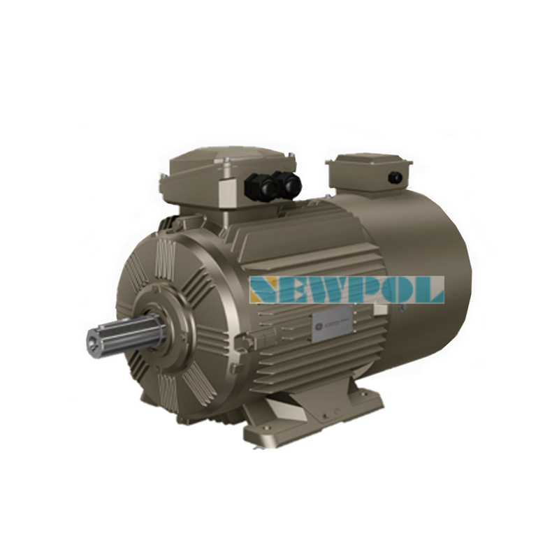 WEBP異步變頻電機(jī)(圖1)